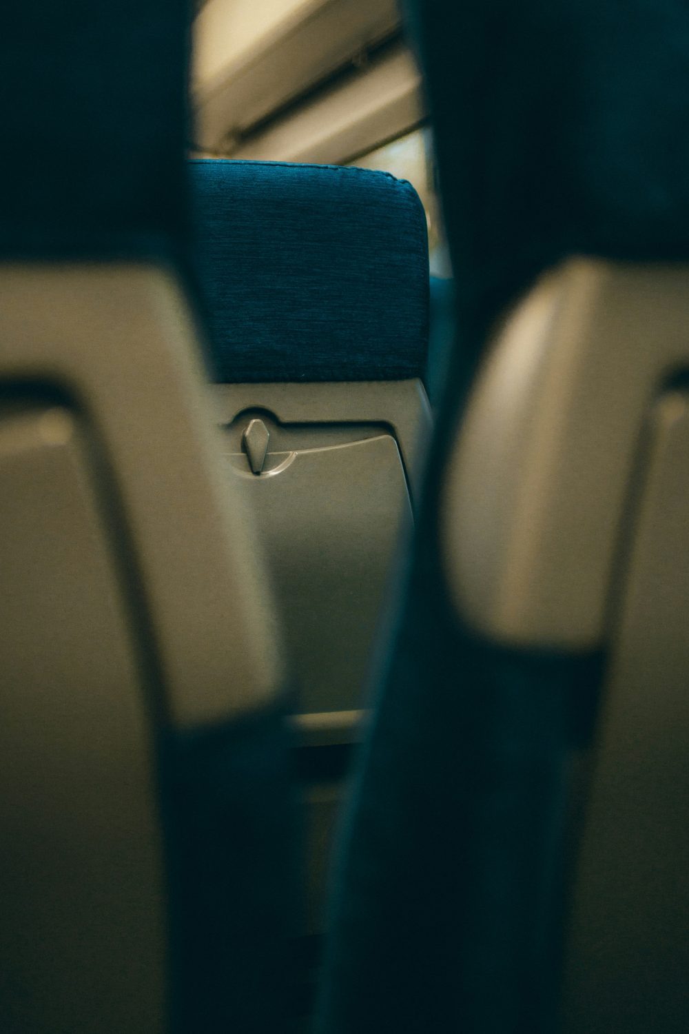 Flight in Australia Delayed After Snake Discovered on Board